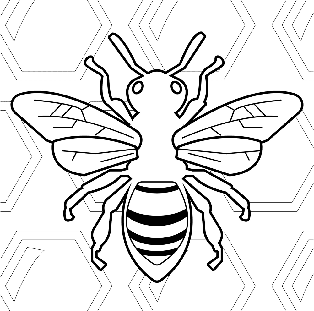 Desenho de Abelhas para colorir