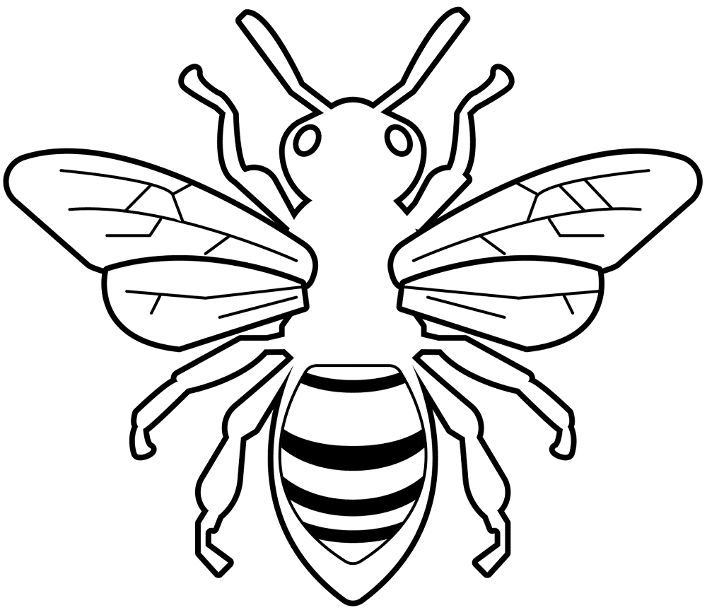 Desenho de Abelhas para colorir
