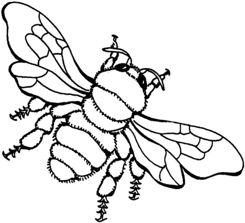 Desenho de Abelhas para colorir