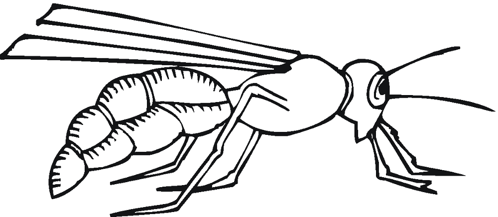 Desenho de Abelhas para colorir