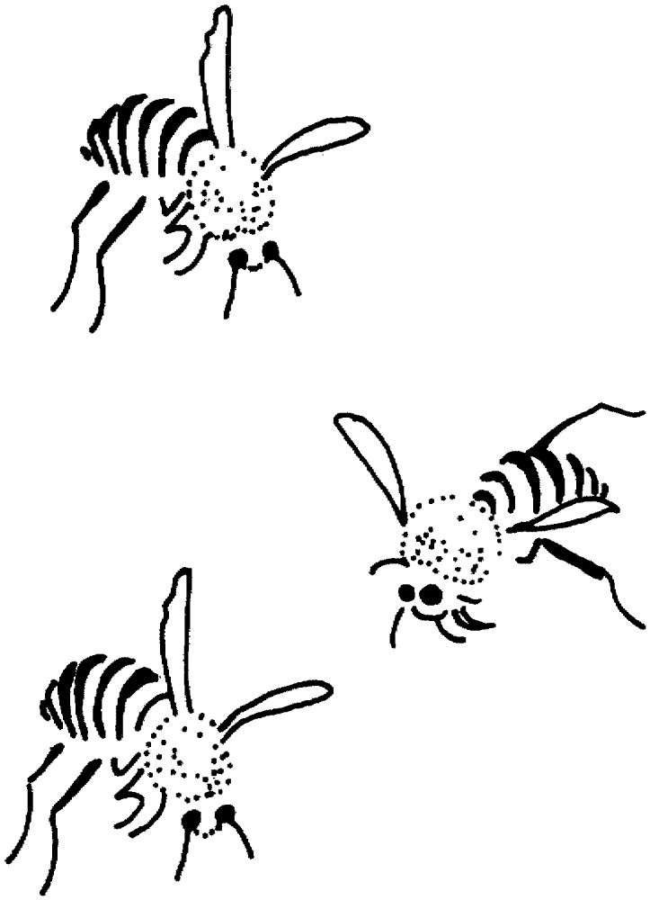 Desenho de Abelhas para colorir