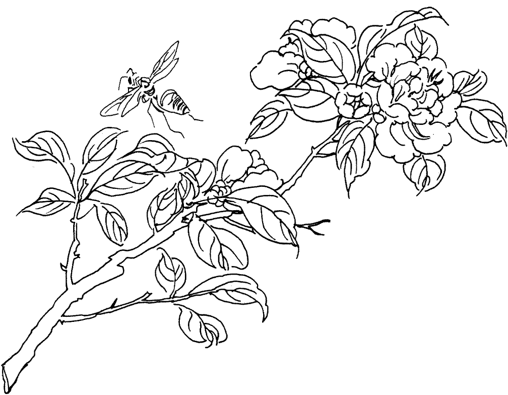 Desenho de Abelhas para colorir