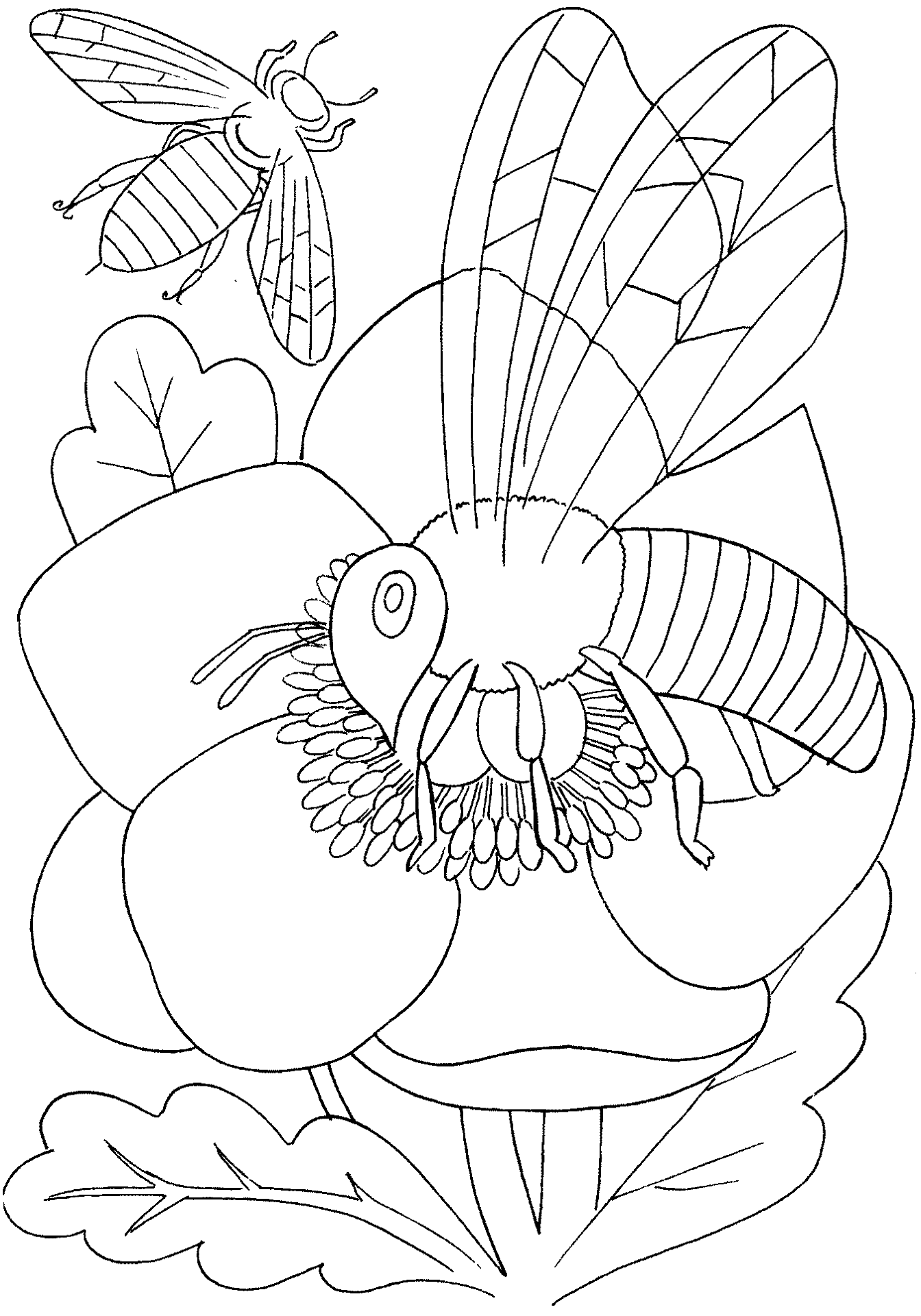 Desenho de Abelhas para colorir