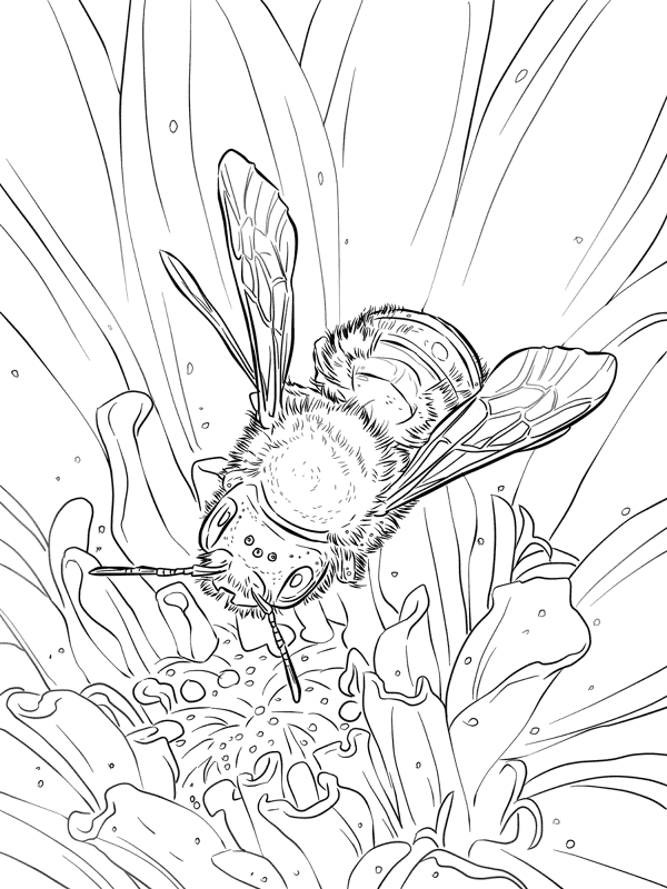 Desenho de Abelhas para colorir