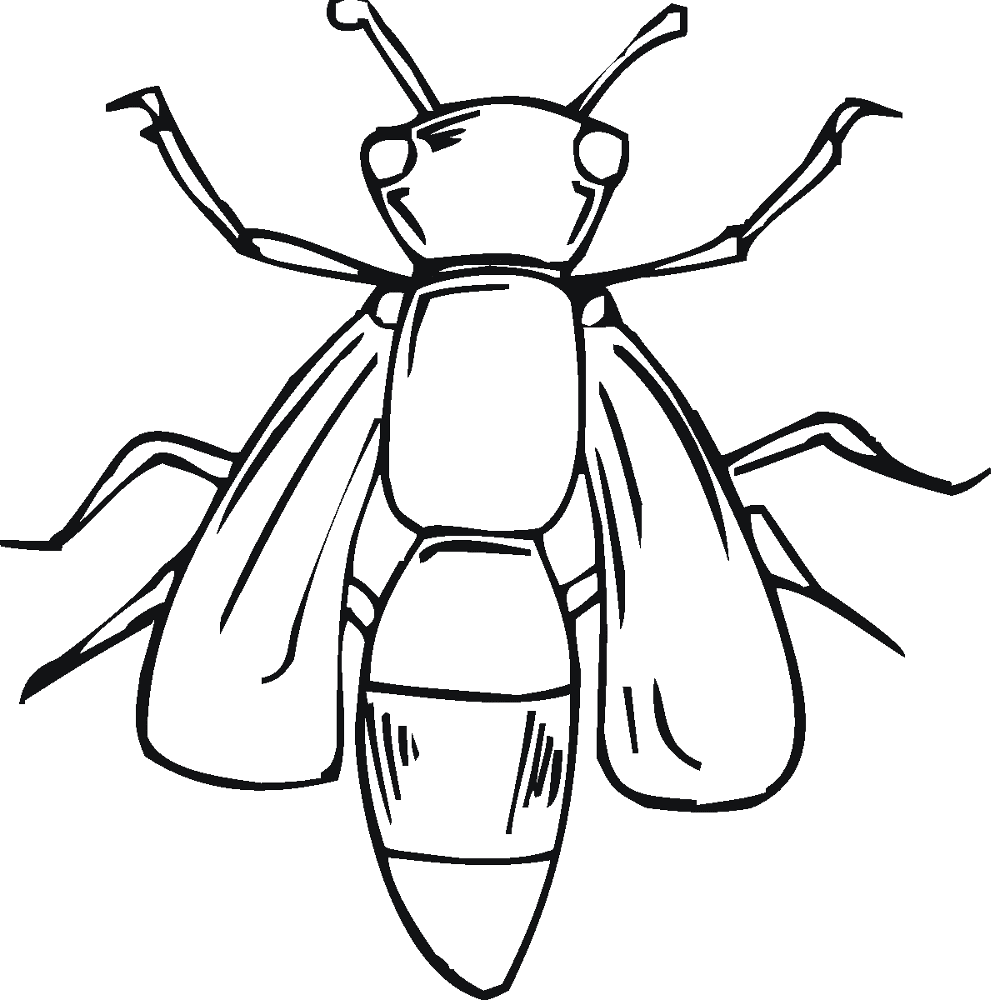 Desenho de Abelhas para colorir