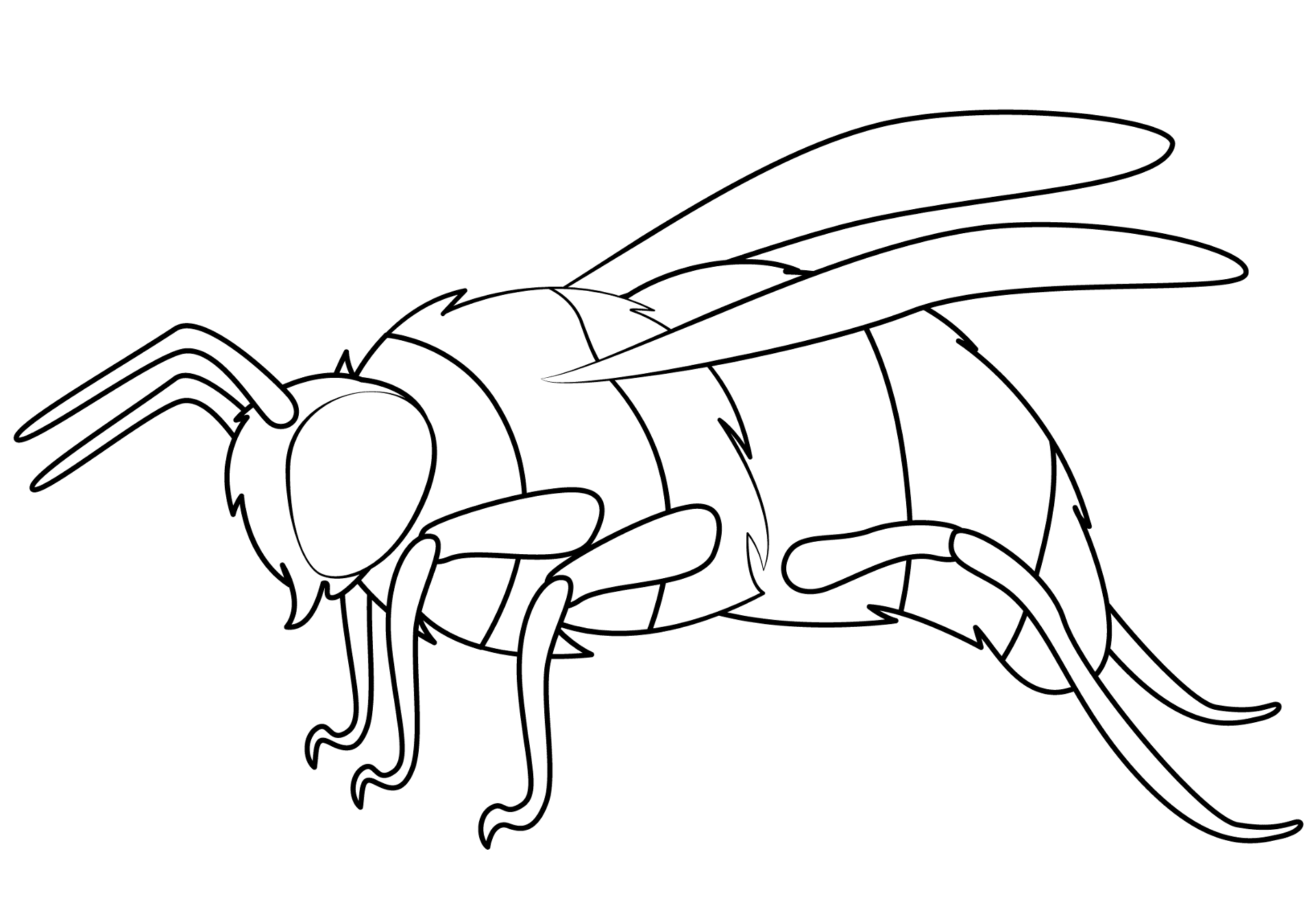 Desenho de Abelhas para colorir