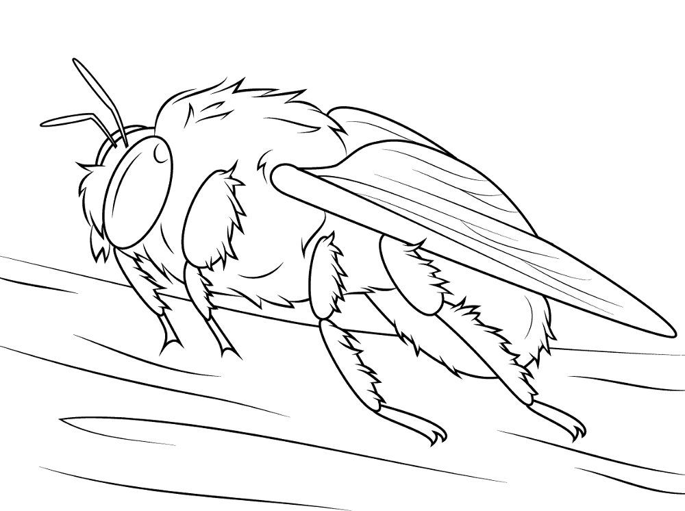 Desenho de Abelhas para colorir