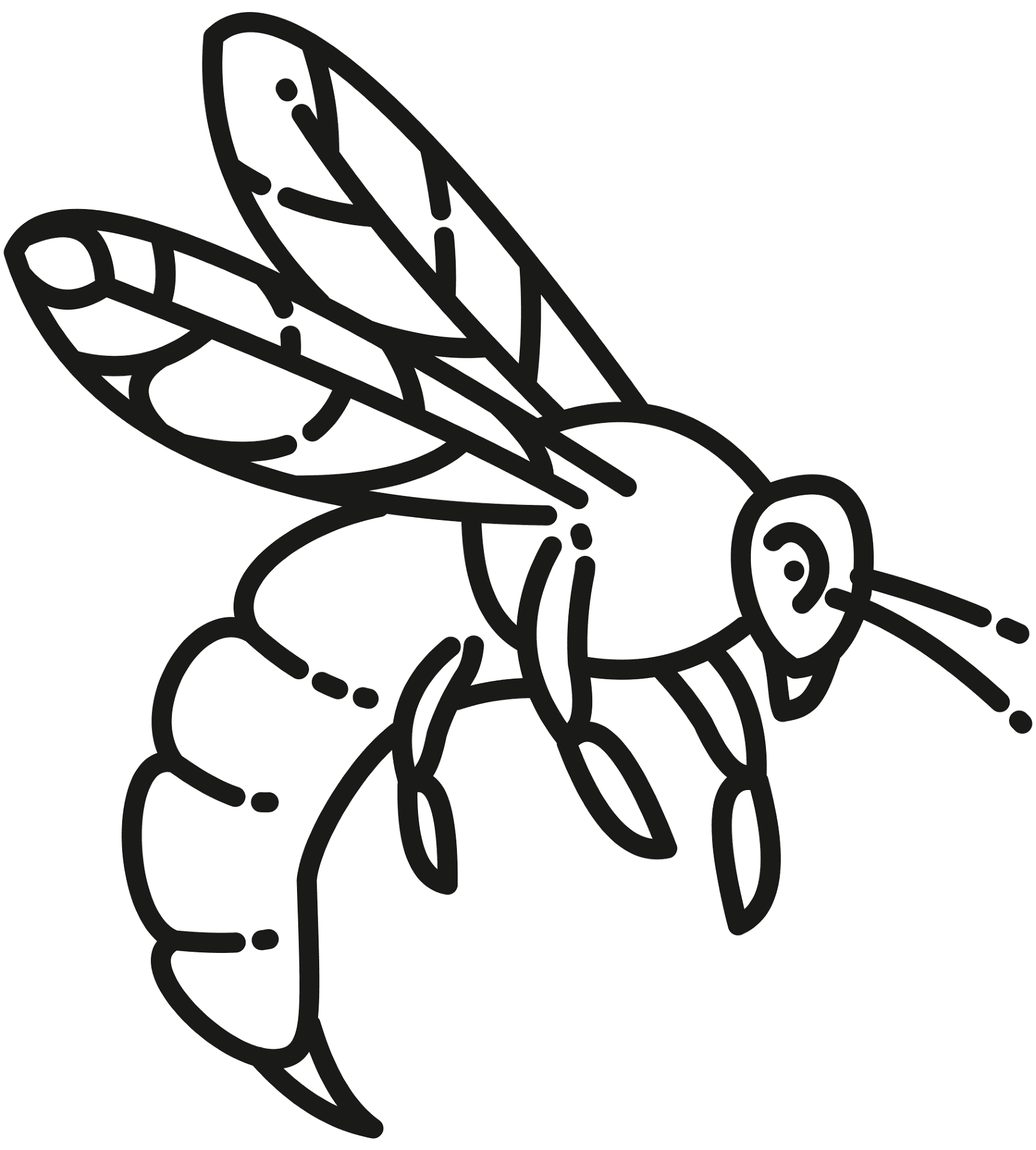 Desenho de Abelhas para colorir