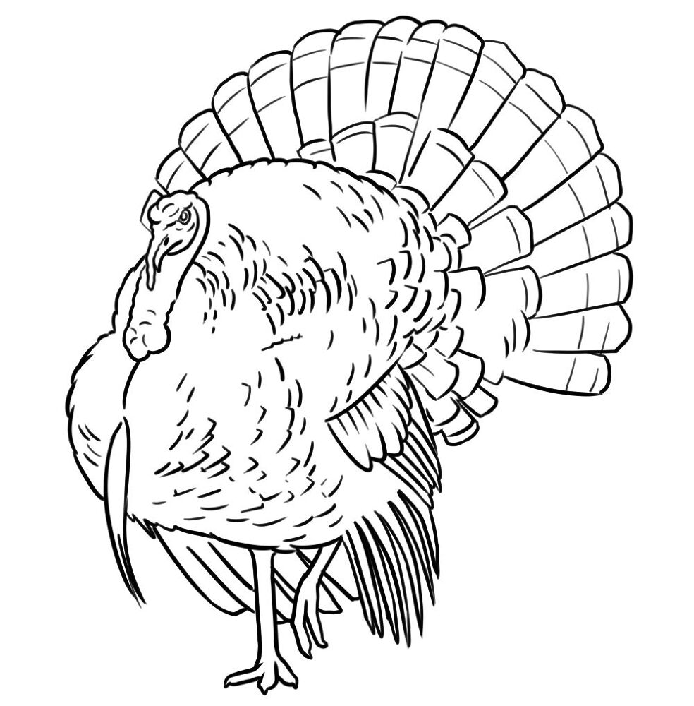 Desenho de Ação De Graças para colorir e imprimir: número 44
