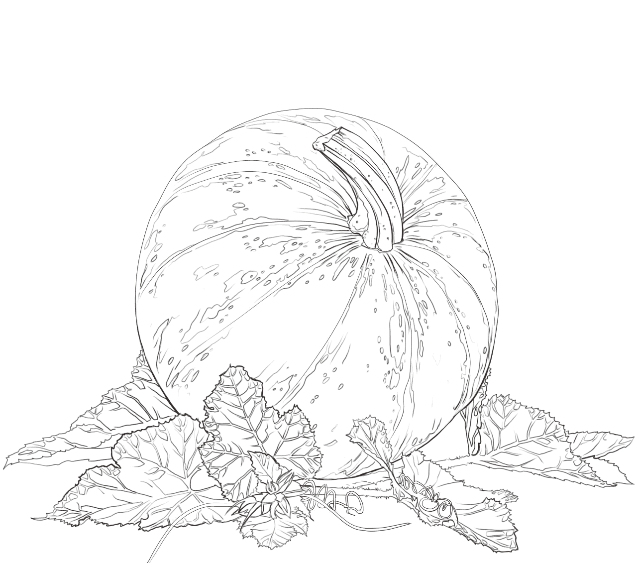 Desenho de Ação De Graças para colorir e imprimir: número 48