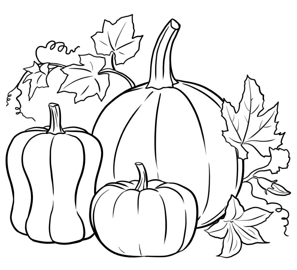 Desenho de Ação De Graças para colorir