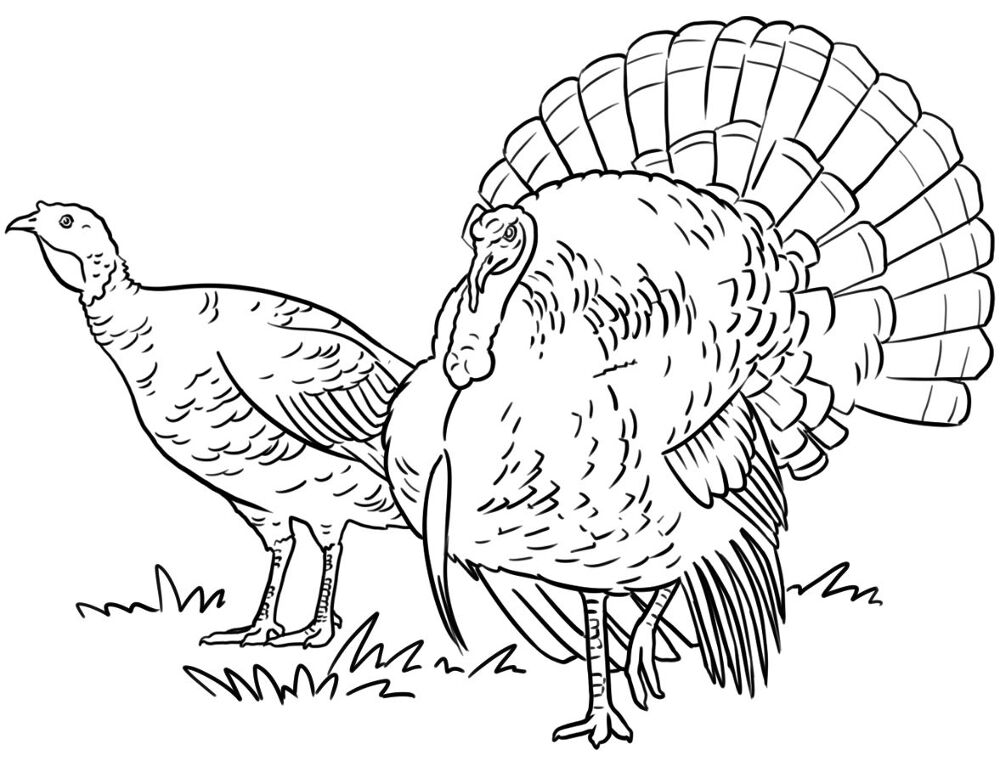 Desenho de Ação De Graças para colorir