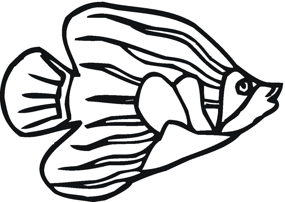Desenho de Acará para colorir e imprimir: número 7