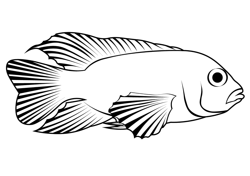 Desenho de Acará para colorir e imprimir: número 9