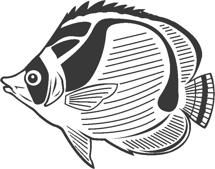 Desenho de Acará para colorir e imprimir: número 10