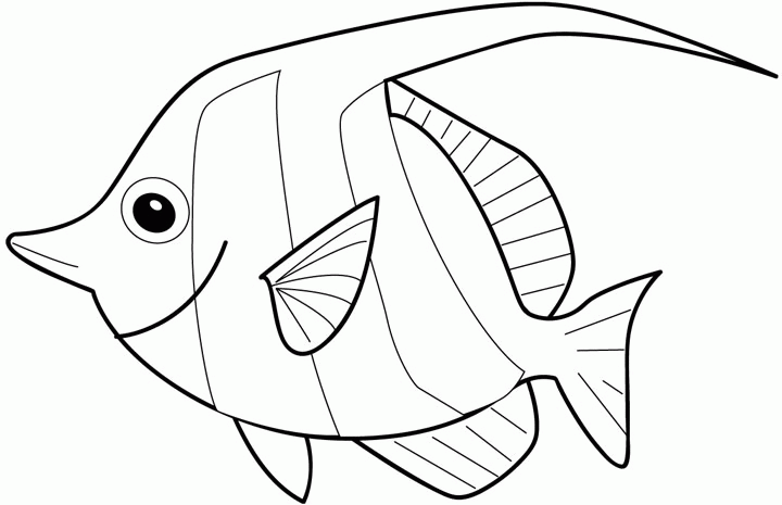 Desenho de Acará para colorir e imprimir: número 14