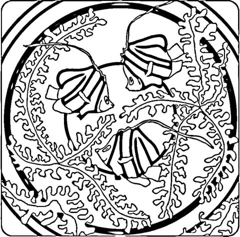 Desenho de Acará para colorir e imprimir: número 15