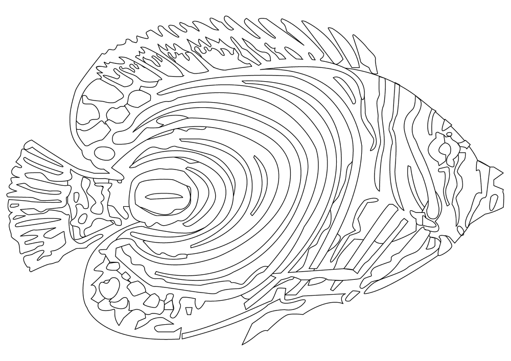 Desenho de Acará para colorir e imprimir: número 19