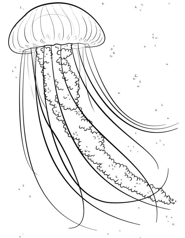 Desenho de Água Viva para colorir e imprimir: número 16