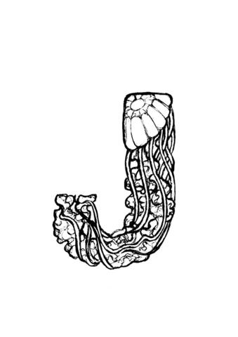 Desenho de Água Viva para colorir e imprimir: número 29