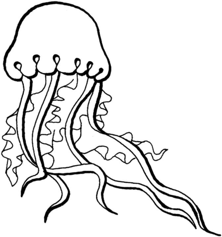 Desenho de Água Viva para colorir e imprimir: número 33