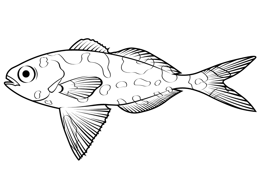 Desenho de Água Viva para colorir e imprimir: número 40