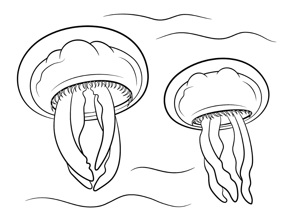 Desenho de Água Viva para colorir e imprimir: número 41