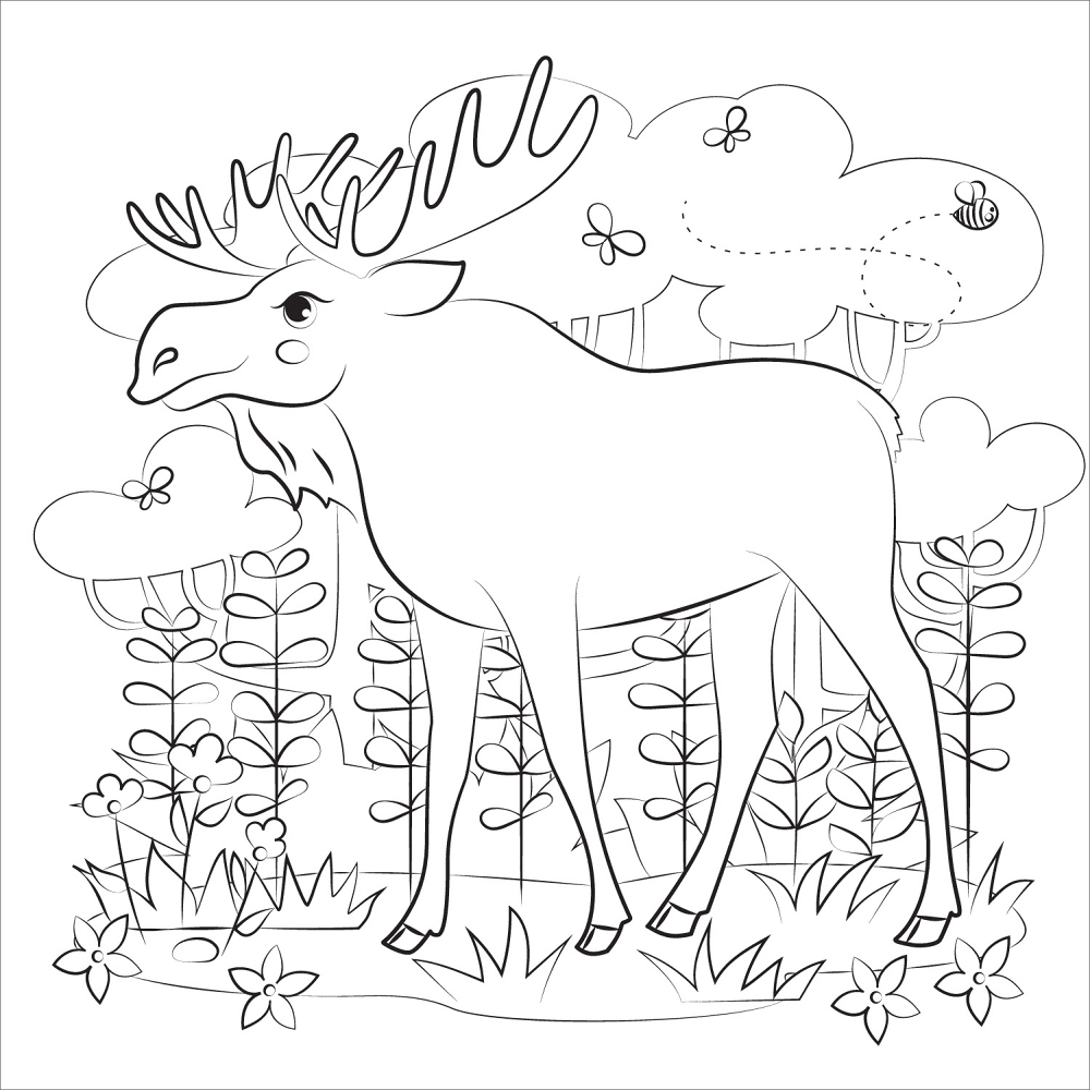 Desenho de Alce para colorir e imprimir: número 1