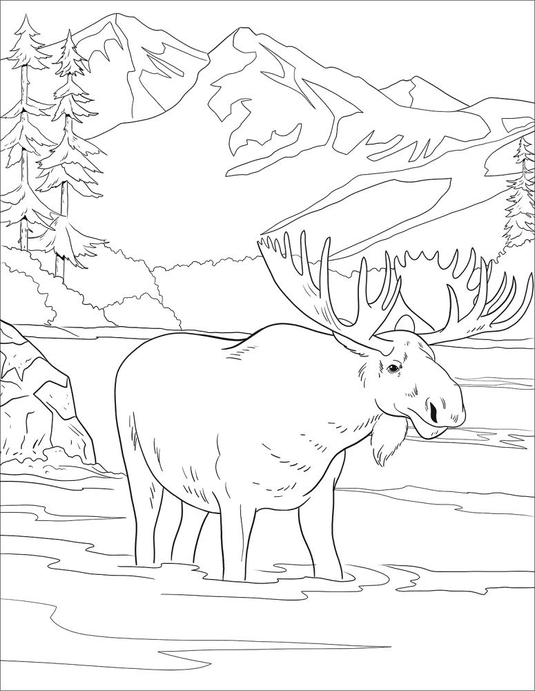 Desenho de Alce para colorir e imprimir: número 15