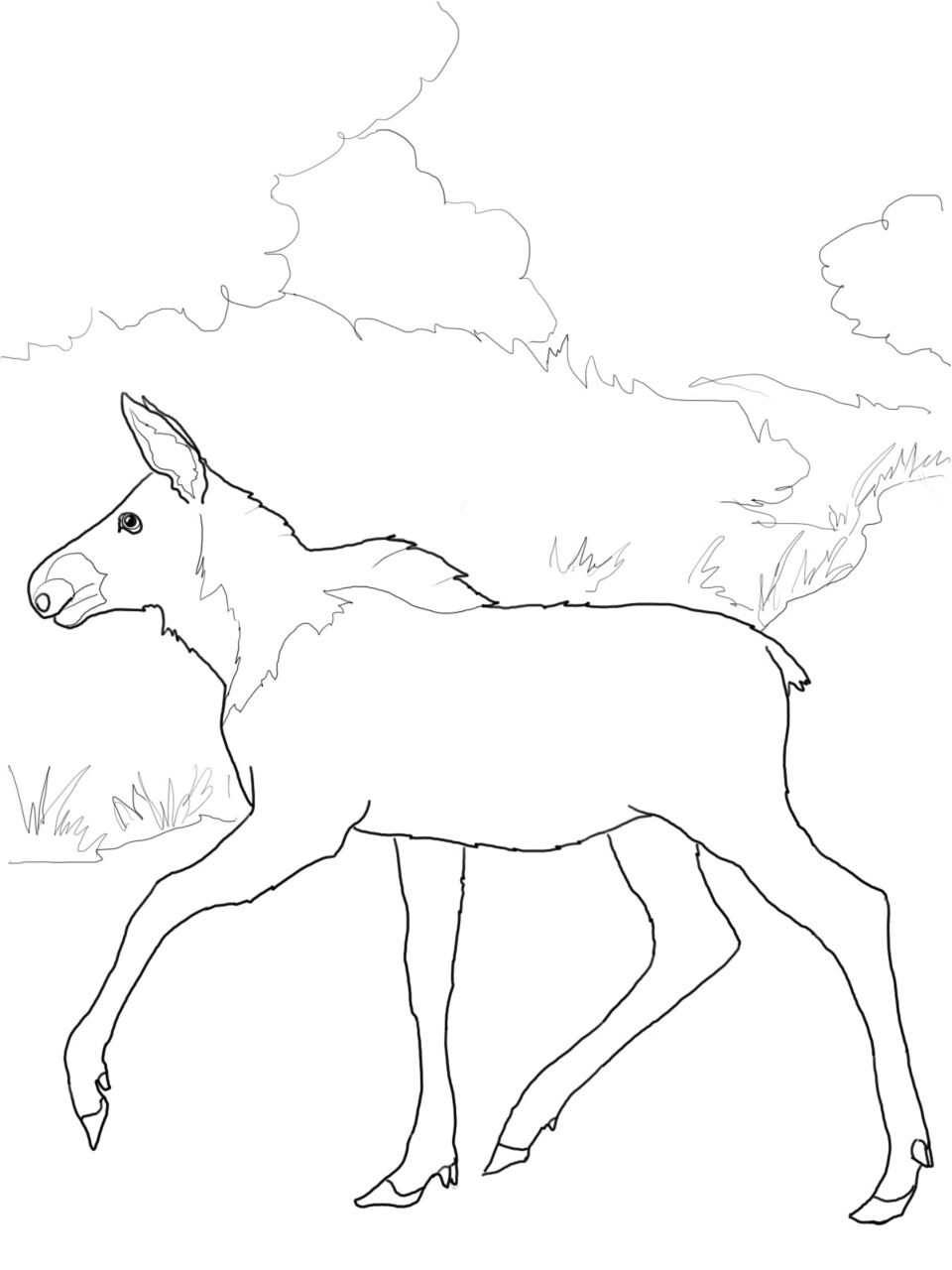 Desenho de Alce para colorir e imprimir: número 18