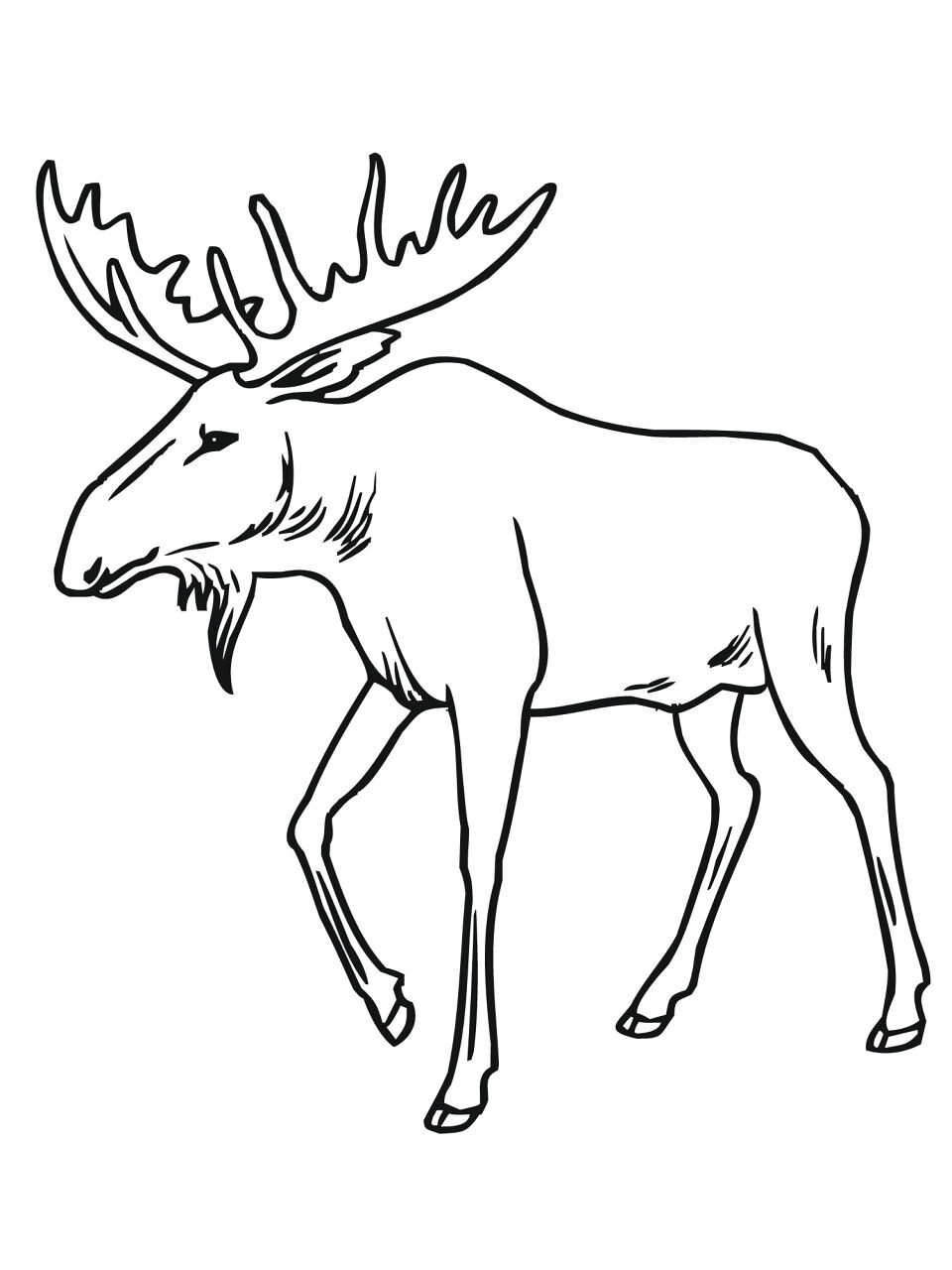 Desenho de Alce para colorir e imprimir: número 22