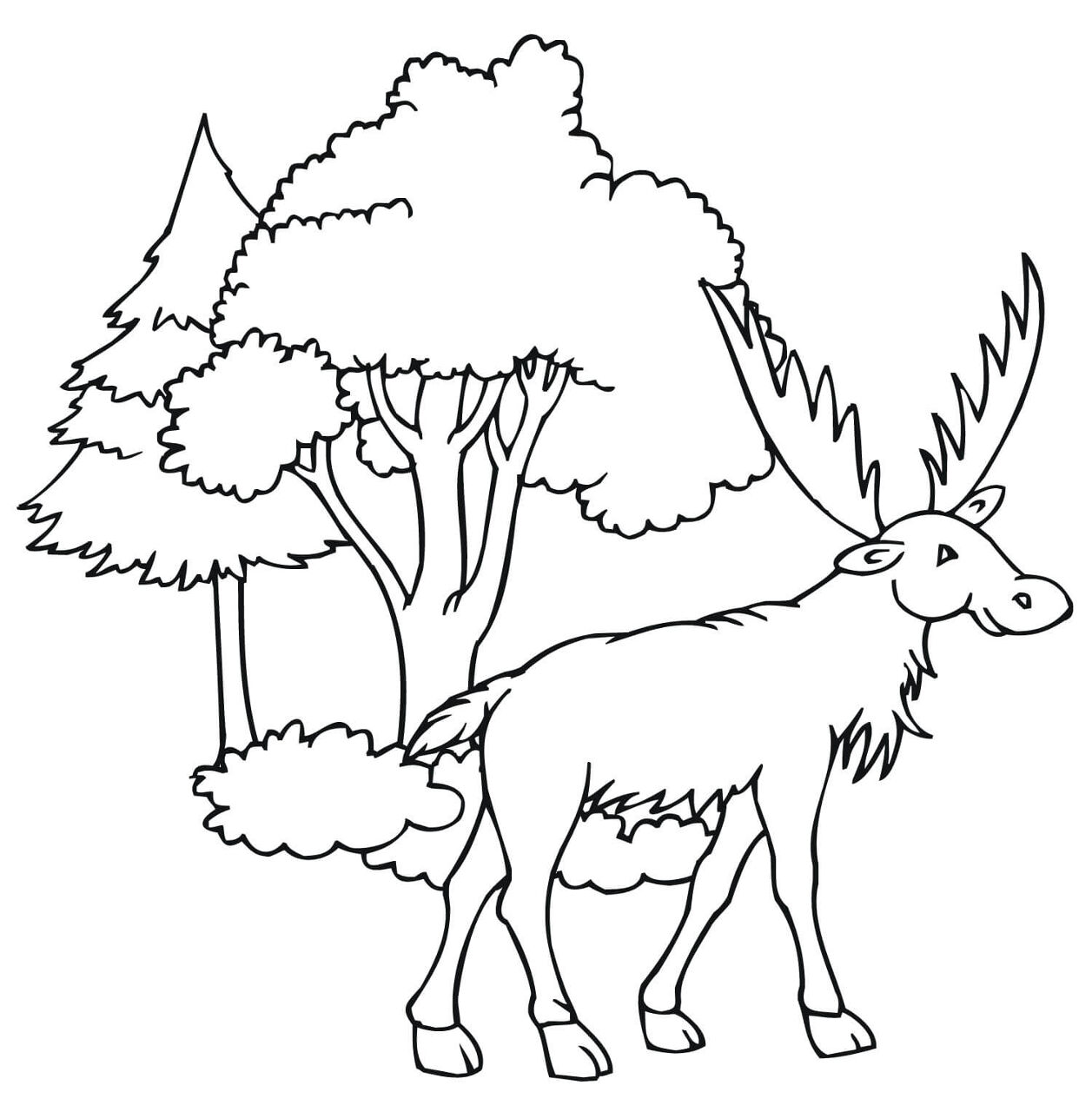 Desenho de Alce para colorir e imprimir: número 35