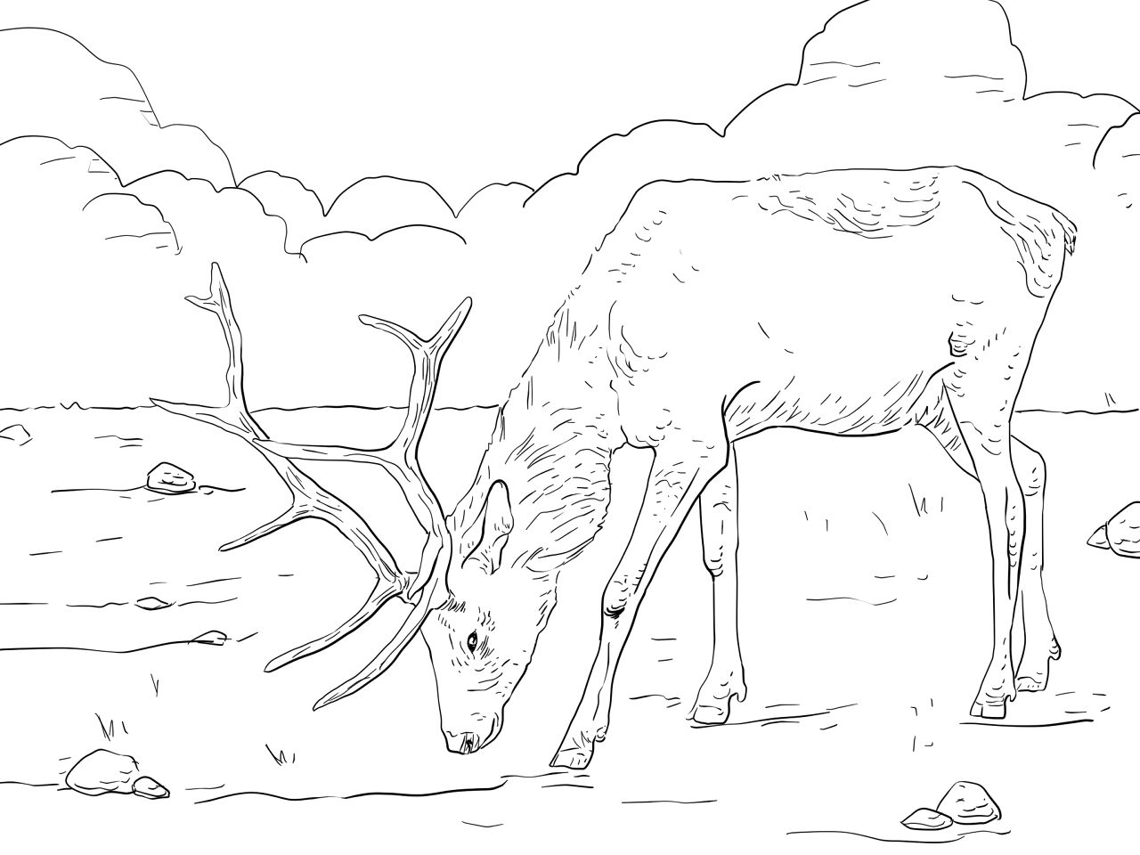 Desenho de Alce para colorir e imprimir: número 38