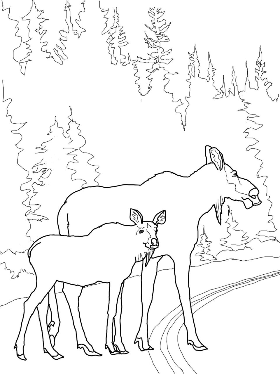 Desenho de Alce para colorir e imprimir: número 46
