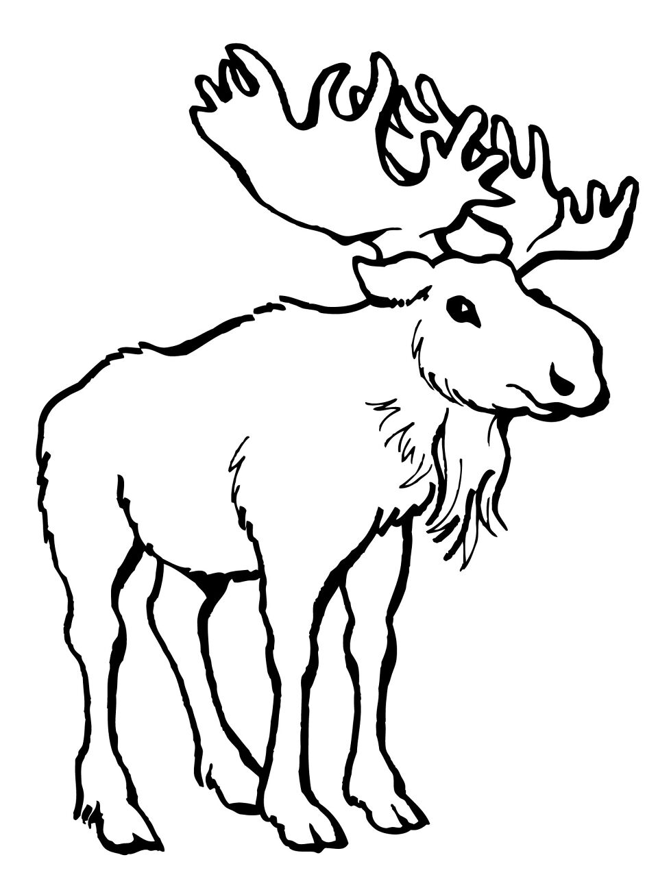 Desenho de Alce para colorir