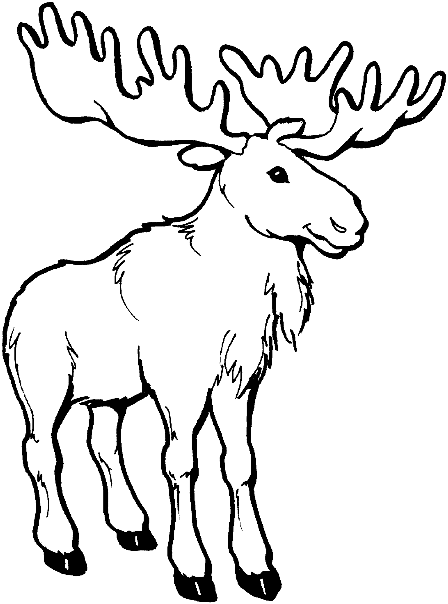 Desenho de Alce para colorir