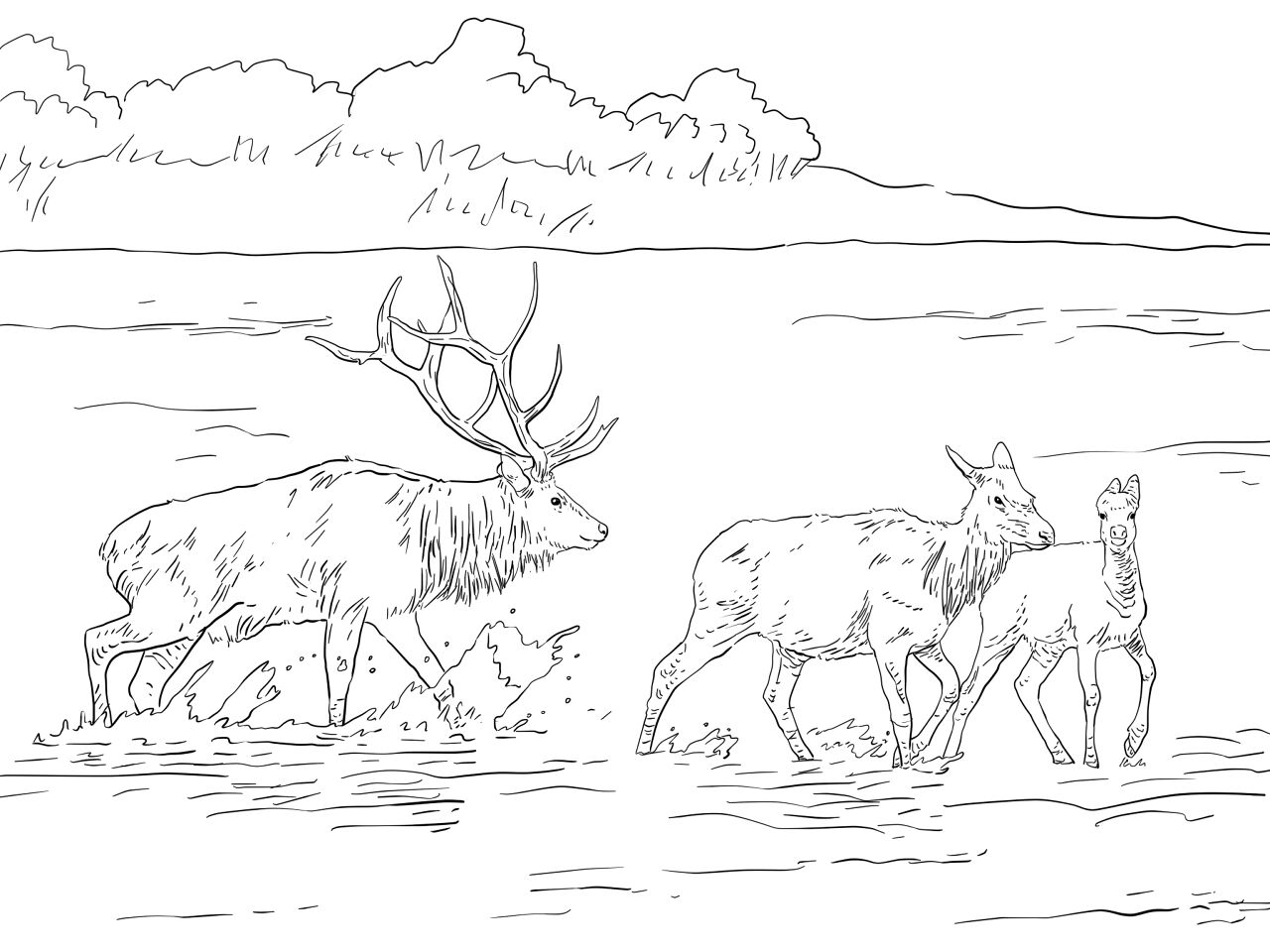 Desenho de Alce para colorir