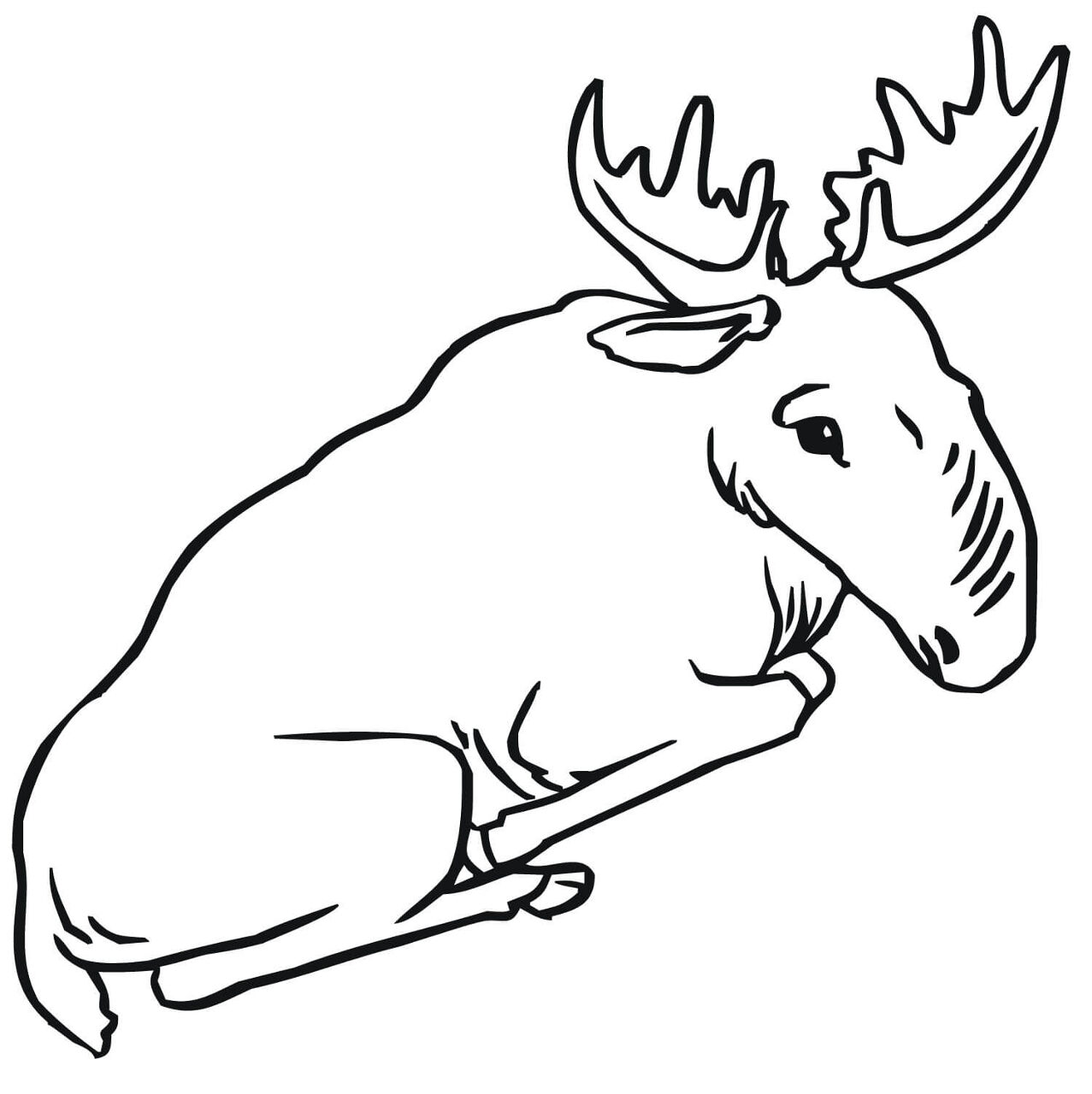 Desenho de Alce para colorir