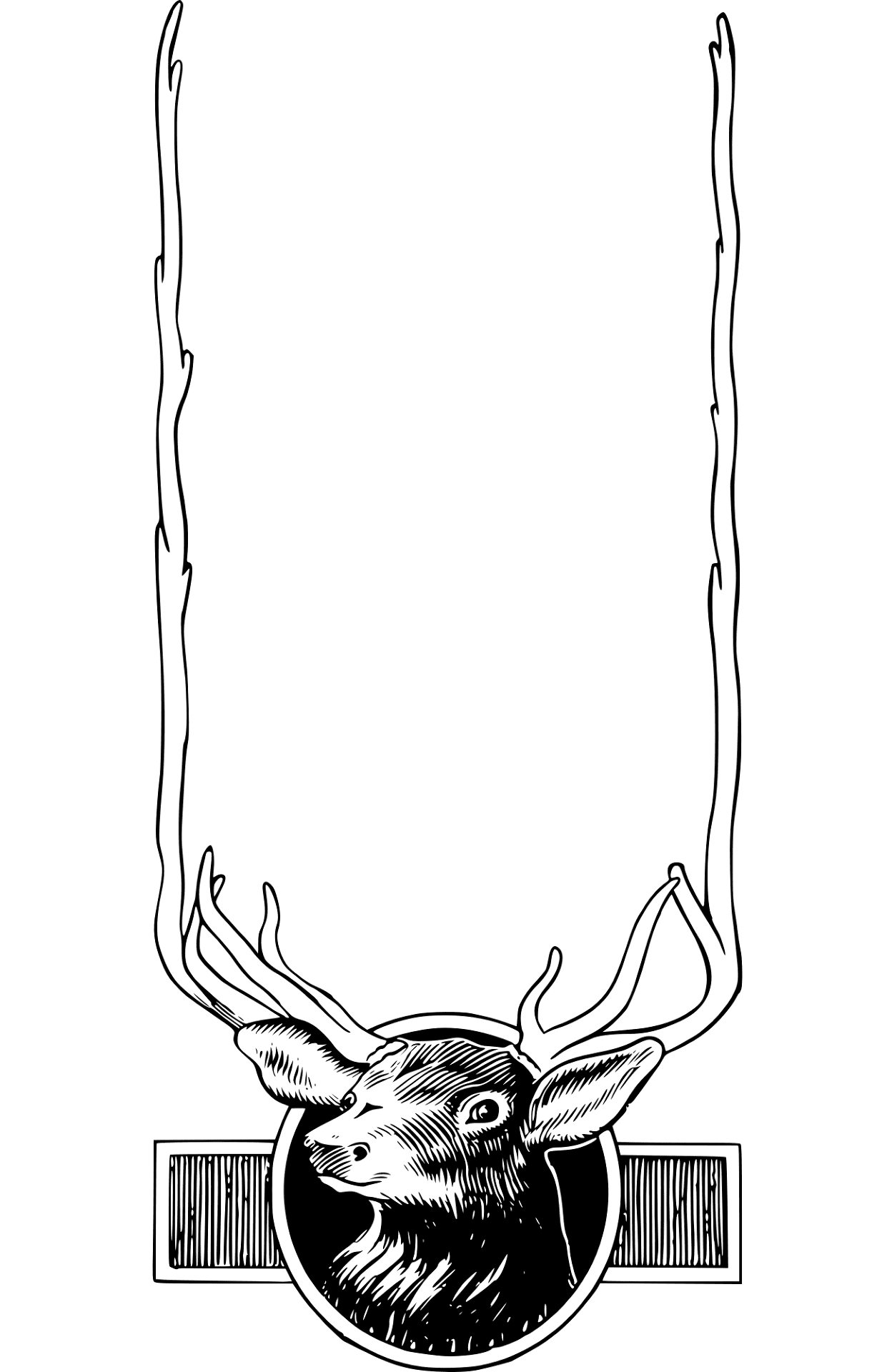 Desenho de Alce para colorir