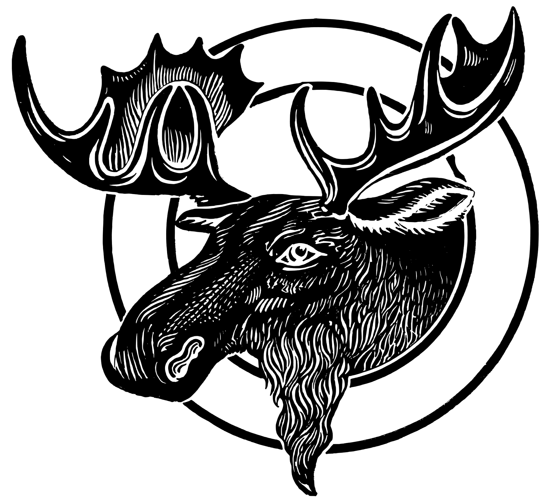 Desenho de Alce para colorir