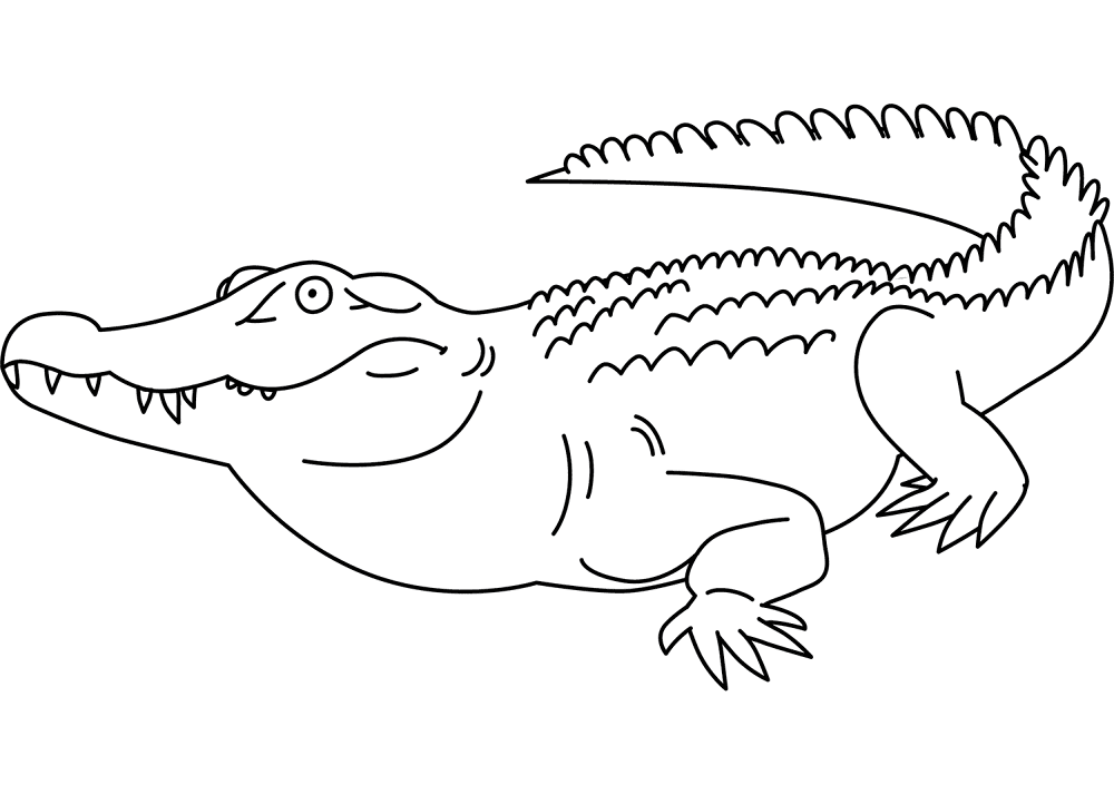 Desenho de Aligátor para colorir e imprimir: número 5