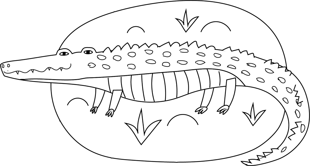 Desenho de Aligátor para colorir e imprimir: número 7