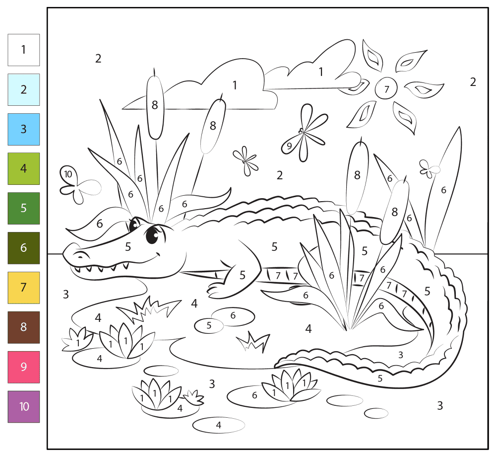Desenho de Aligátor para colorir e imprimir: número 8