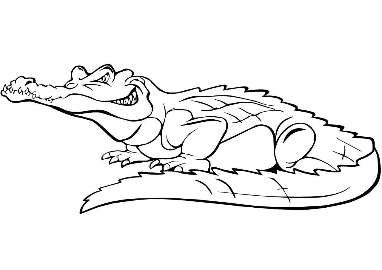 Desenho de Aligátor para colorir e imprimir: número 11