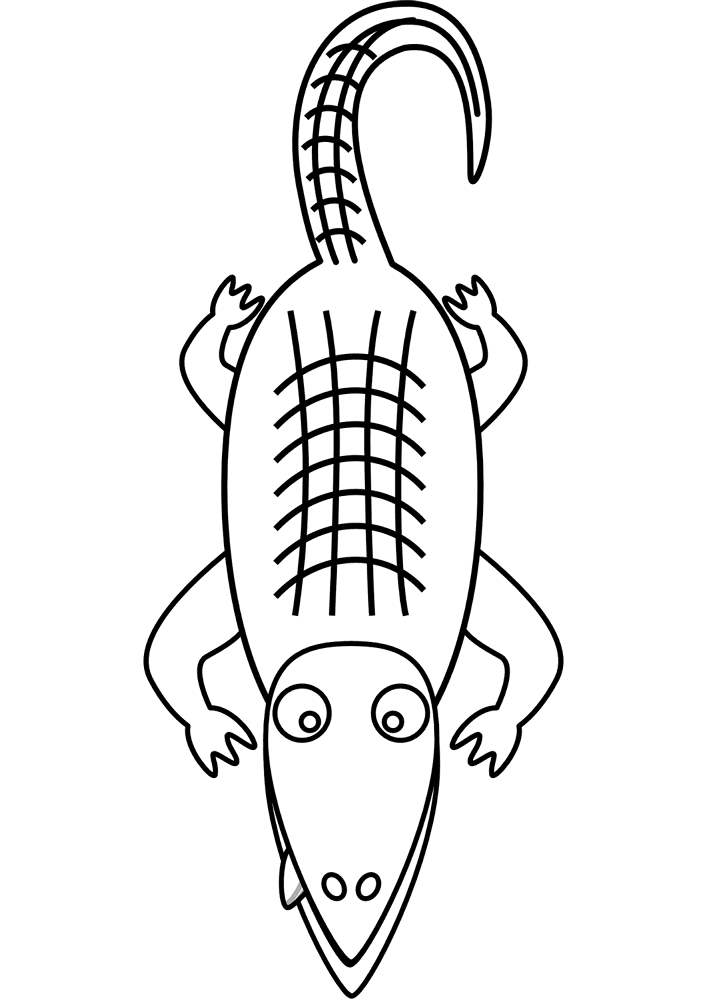Desenho de Aligátor para colorir e imprimir: número 20