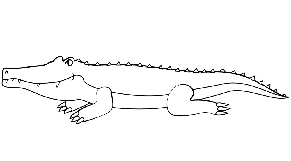 Desenho de Aligátor para colorir e imprimir: número 24
