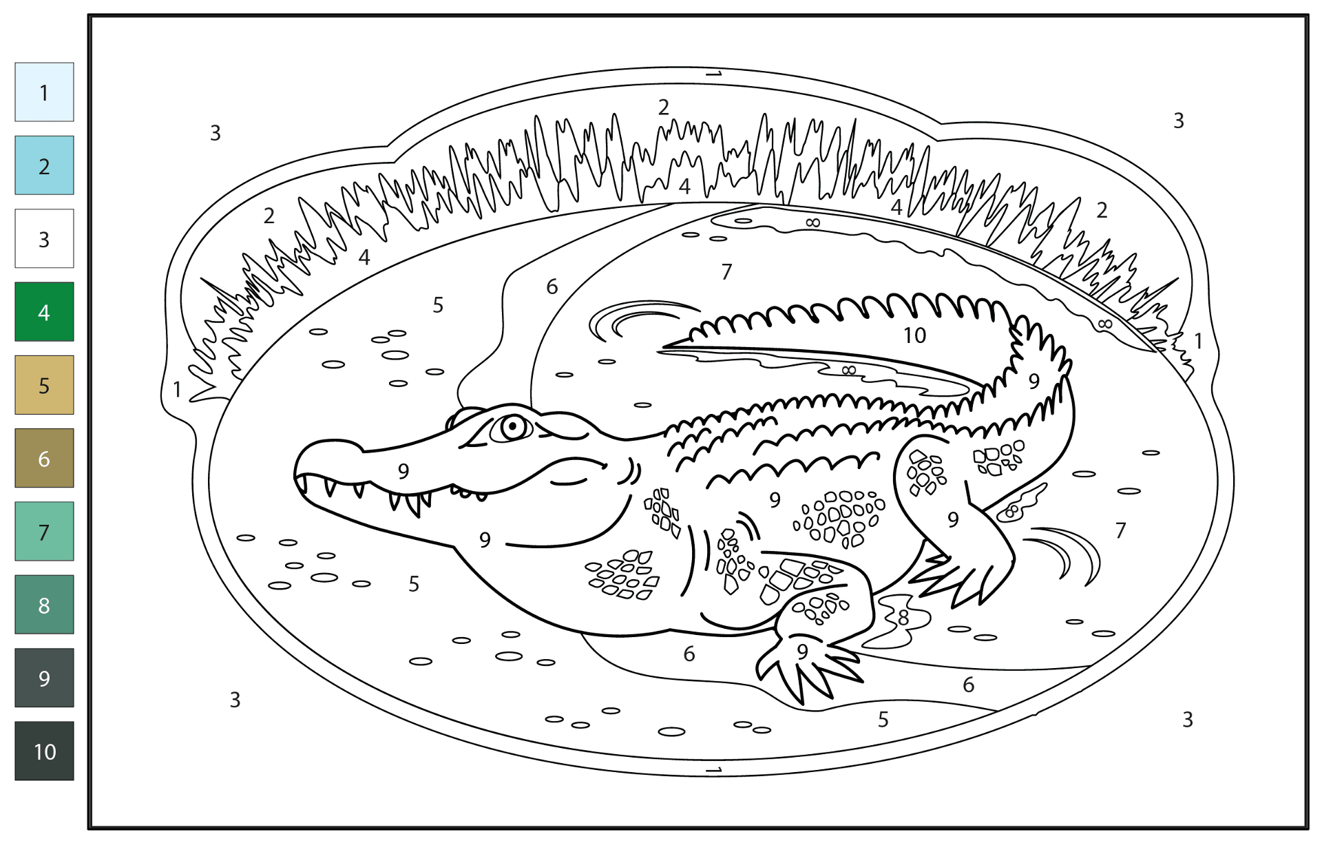 Desenho de Aligátor para colorir e imprimir: número 45
