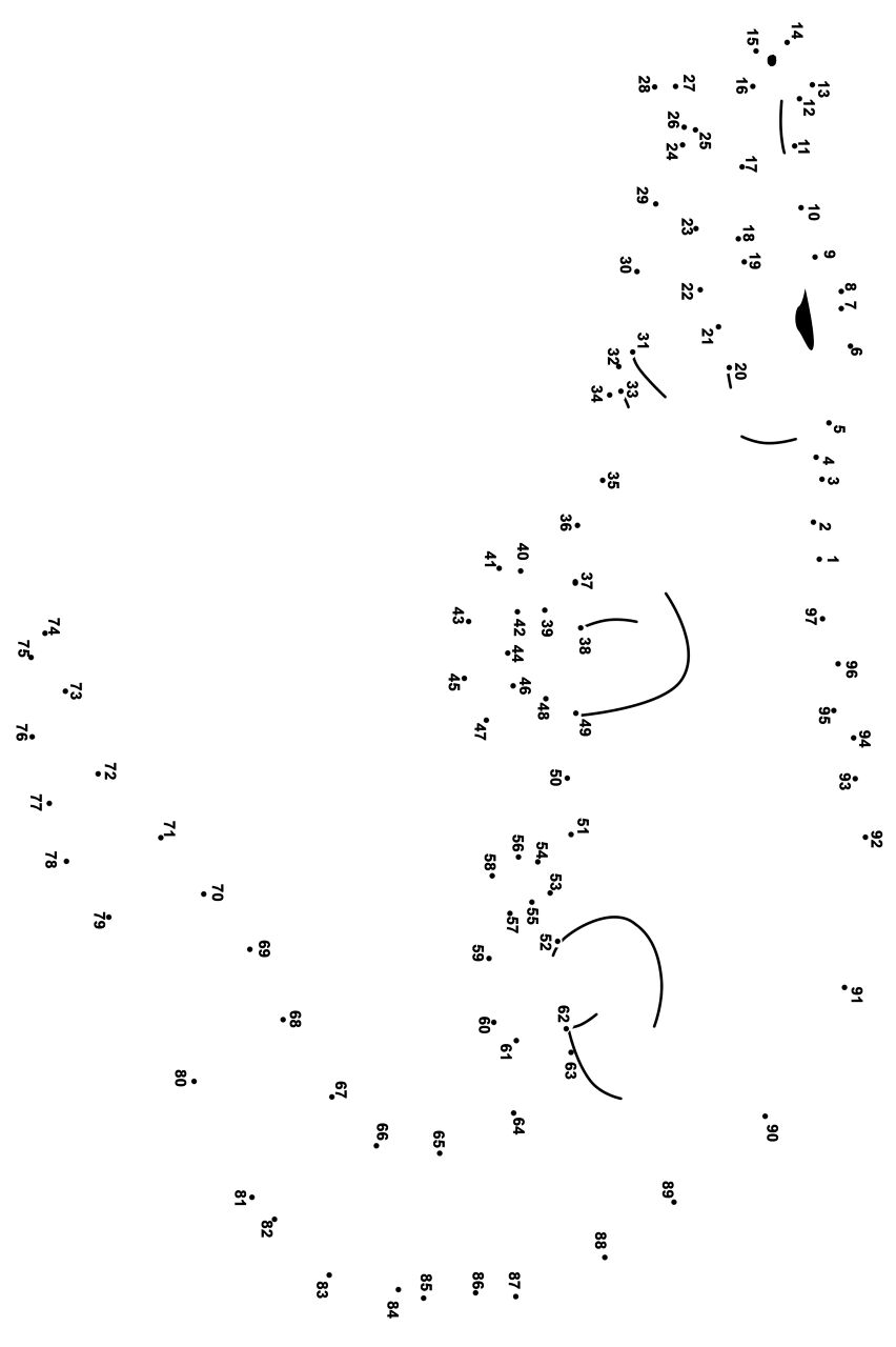 Desenho de Aligátor para colorir e imprimir: número 47