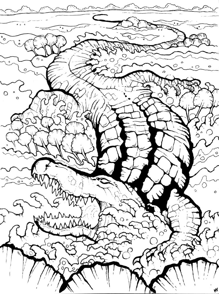 Desenho de Aligátor para colorir