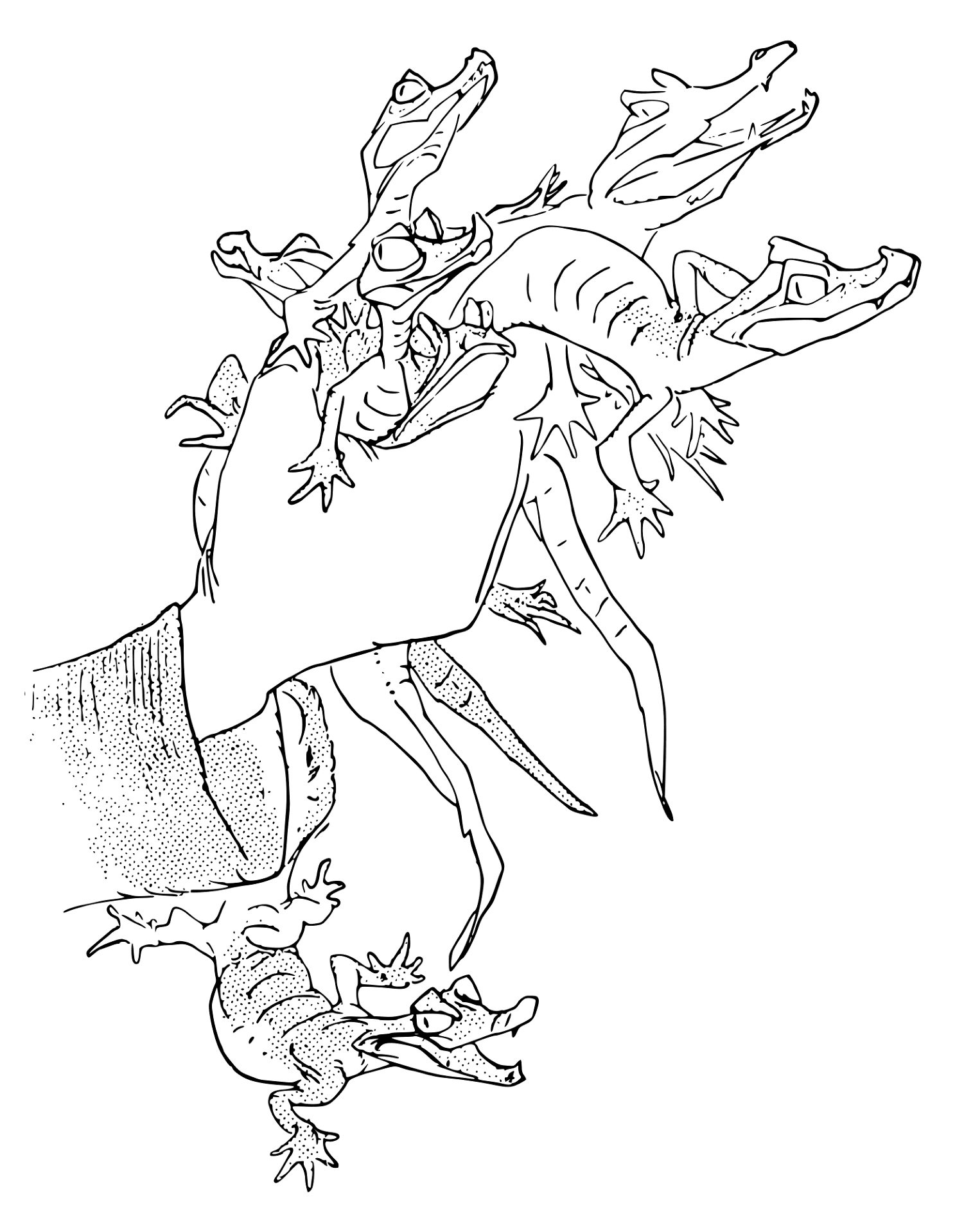 Desenho de Aligátor para colorir